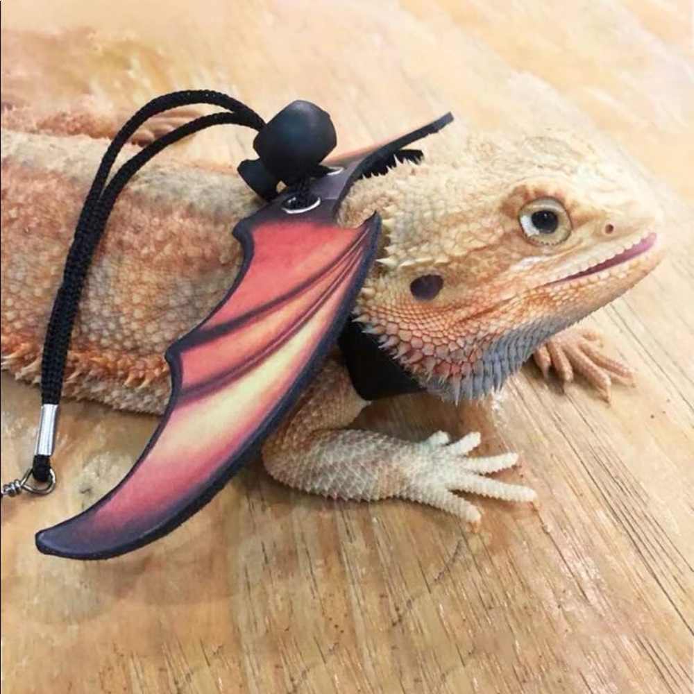 Bat Design Lizard Harness & Leash Set 🦎